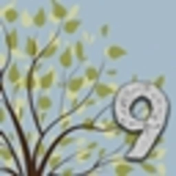 Enigmatica 9
